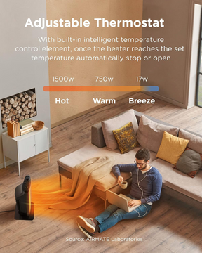 AIRMATE Electric Space Heater for Indoor Use 25"